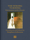 Cover image for The Wrong Turning